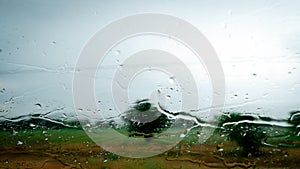 View through the car window in the rain. Rainy weather through the car window. Tree behind rainy windshield