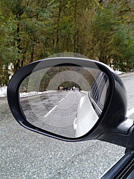 view from the car window to the road through the mirror