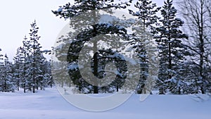 View from the car of the winter northern landscape