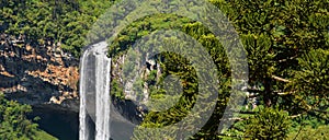 View of Caracol waterfall  `Cascata do Caracol`  - Canela City, Rio Grande do Sul