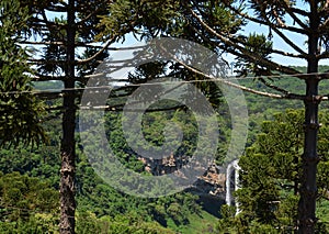 View of Caracol waterfall  `Cascata do Caracol`  - Canela City, Rio Grande do Sul