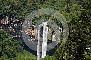 View of Caracol waterfall  `Cascata do Caracol`  - Canela City, Rio Grande do Sul photo