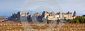 View of Carcassonne castle in France photo