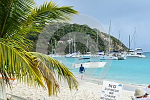 Virgin Island Beach with boats and palms