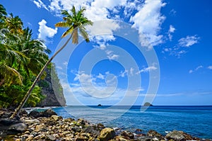 Caribbean martinique wild beach