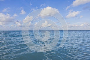 View of Caribbean sea blue waters in Aruba against backdrop of clear blue skies with white fluffy clouds.