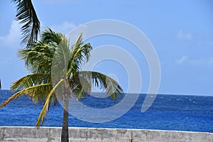 View of the Caribbean Sea from the Cayman Islands