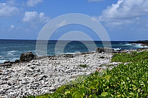 View of Caribbean Sea from East End of Grand Cayman