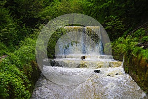 View of the cascade of water in the form of small waterfalls surrounded by trees. Selective focus