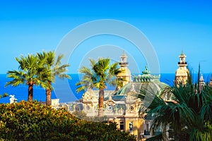 View on the Casino of Monte Carlo, some trees, and the sea photo