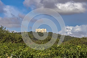 View of Castel del Monte, built in an octagonal shape by Frederick II in the 13th century in Apulia, Andria province, Apulia,