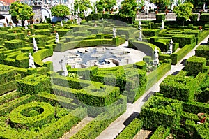 View of Castelo Branco garden photo