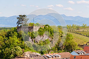 View of Castle Breisach, Baden-Wurttemberg, Germany