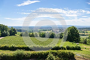 view from Castle Hochburg at Emmendingen