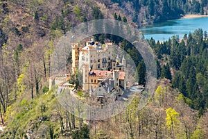 View of the castle, lake and forest photo