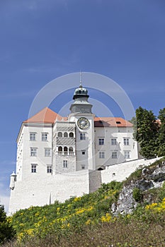 View on castle Pieskowa SkaÅ‚a in Poland in sunny day