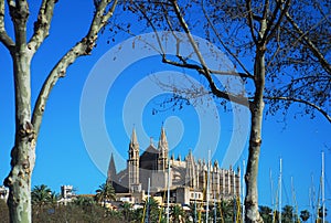 View of a cathedral in Majorca Island