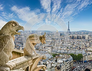 View from Cathedral Notre-Dame with gargoyles on the foreground