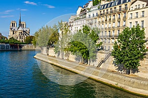 View of the cathedral of Notre Dame and the river Seine
