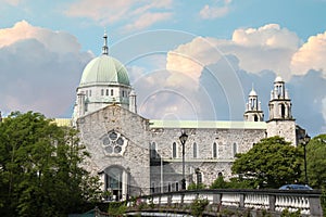 View of the Cathedral of our Lady  Assumed into Heaven and St Nicholas in Ireland