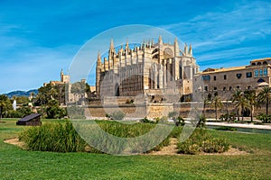 View of the Cathedral of Palma, Spain