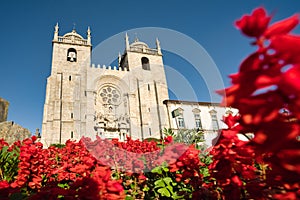 View Of The Cathedral of Porto Seen Through Flowers