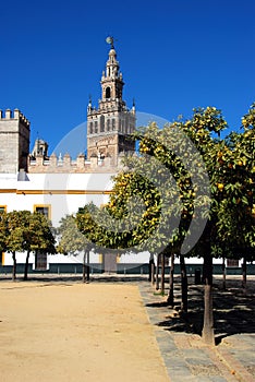 Cathedral and Giralda tower, Seville, Spain.