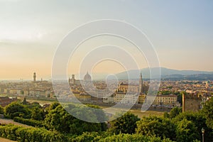 View of the Cathedral of Santa Maria del Fiore Duomo, Basilica of Santa Croce, and Arnolfo tower of Palazzo Vecchio.