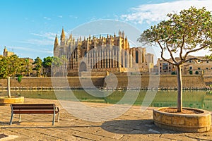View on Cathedral of Santa Maria of Palma or La Seu with bench with nobody on Mallorca island, Majorca, Spain