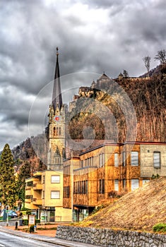 View of Cathedral of St. Florin in Vaduz