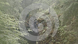 View of cave and traveler in forest. Stock footage. Traveler in distance stands over black cave in rock in green forest