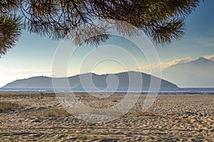 View through cedar branches to the beautiful Keramoti beach in the Aegean Sea against the backdrop of Thassos, Greece.