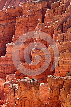 View at Cedar Breaks National Monument, Utah, USA