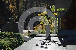 View of cemetery in Lithuania with tombstones, crosses and flowers