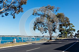 View of the central Geelong waterfront from Drumcondra, Australia.