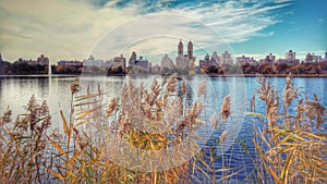 A view of the Central Park from Central Park East - NEW YORK CITY - NYC