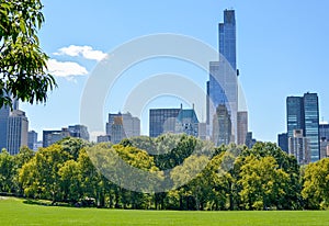 View from the Central Park lawn