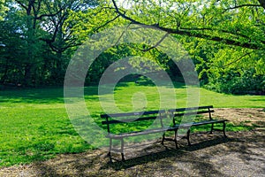 View of Central Park in New York City in spring