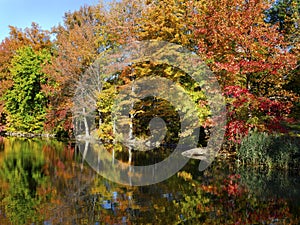 View from Central Park, NewYork