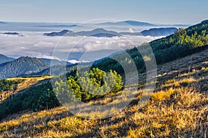 View from Chabenec mountain at Low Tatras