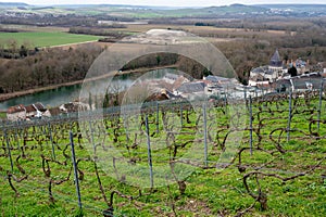 View of Champagne gran cru vineyards and Marne river near Ay village at winter