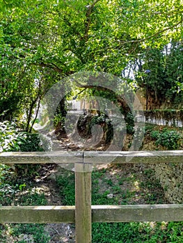 View of the channel of the natural landscape of La Floresta