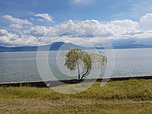 View of Chapala Lake from Pier of Ajijic