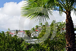 View of Charlotte Amalie, St. Thomas USVI