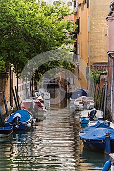 View of a charming canal with boats docked and big green tree in Venice, Italy
