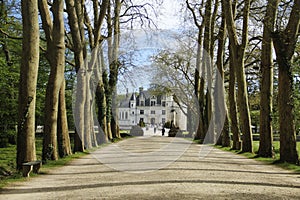 View of Chenonceau castle, France