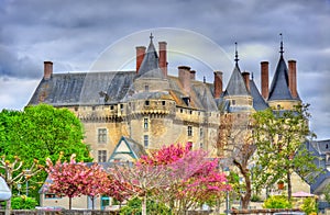 View of the Chateau de Langeais, a castle in the Loire Valley, France