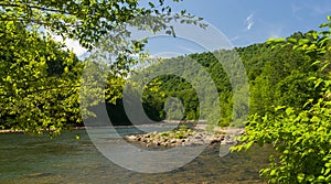 View of Cheat River from Jenkinsburg Bridge