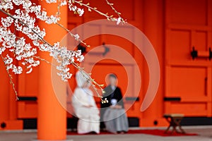 View of cherry blossoms Sakura with a background of a newlywed couple, the bride dressed in Pure White Shiromuku