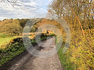 A view of the Cheshire Countryside